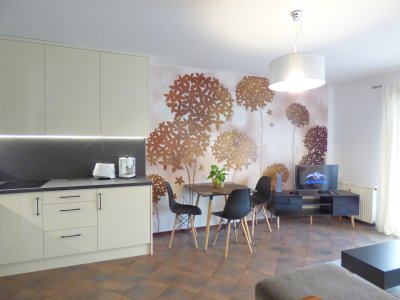 fot.2 Apartament: DOL