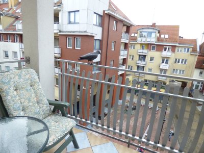 fot.15 Apartament: LIP